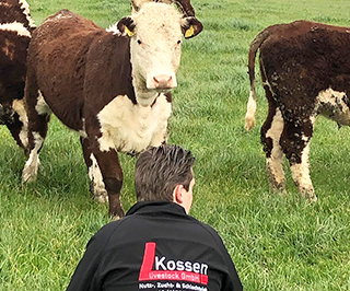 © Kossen Livestock GmbH